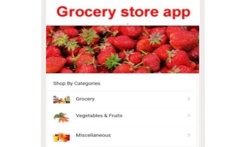 Grocery app developers